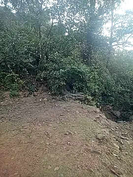 quynhkoolbae online show from 21, 2, 2026