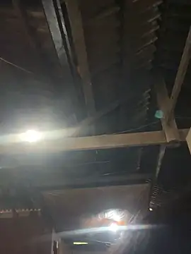 EmLy02 online show from 16, 4, 2026