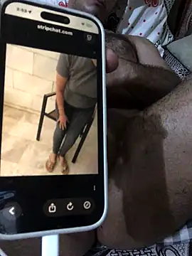 HaltBrand online show from 4, 11, 2025