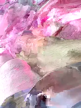 Hl1979 online show from 22, 3, 2026