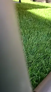 Worppp online show from 18, 3, 2026