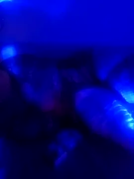 senacansu online show from 26, 10, 2025