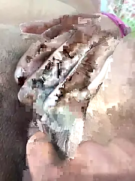 ache45 online show from 7, 11, 2025