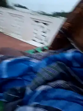 dolphiinn online show from 13, 10, 2025