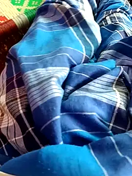 dolphiinn online show from 14, 11, 2025