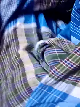 dolphiinn online show from 19, 12, 2025