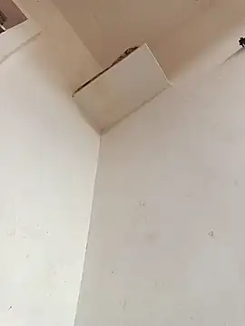 Dikchahot online show from 11, 11, 2025