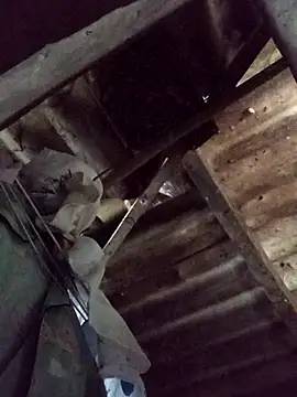  Helala  online show from 21, 10, 2025