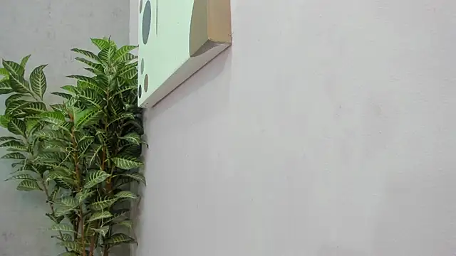 Snapshot of scarlett646 chatting on 2, 12, 2025 scarlett646 online show from 2, 12, 2025