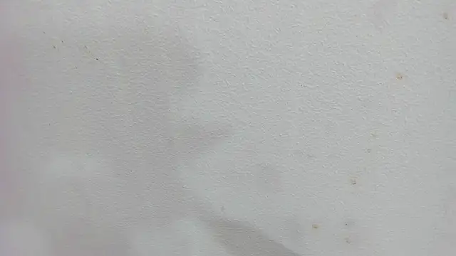 Snapshot of scarlett646 chatting on 4, 12, 2025 scarlett646 online show from 4, 12, 2025