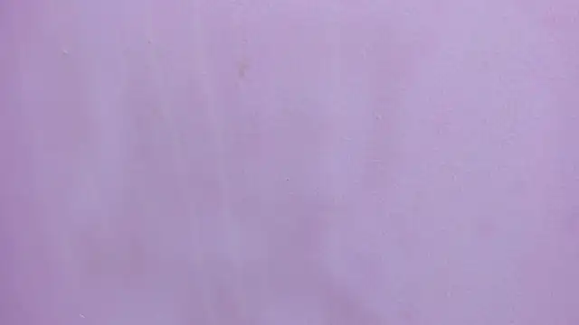 Snapshot of scarlett646 chatting on 28, 2, 2026 scarlett646 online show from 28, 2, 2026