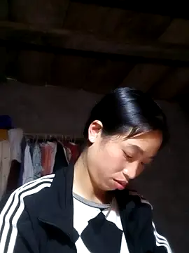 misa 00 online show from 4, 3, 2026