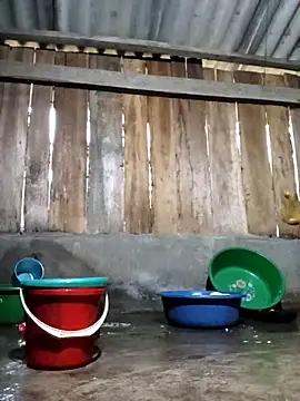 Ngocmi909 online show from 11, 3, 2026