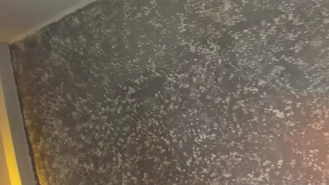 Julieth brown  online show from 5, 12, 2025