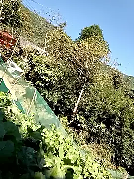 Snapshot of Maymay0033 chatting on 29, 11, 2025 Maymay0033 online show from 29, 11, 2025