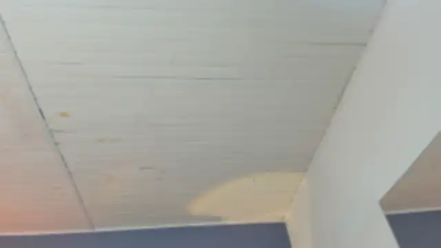 Snapshot of BellaBoobs_ chatting on 3, 10, 2025 BellaBoobs online show from 3, 10, 2025