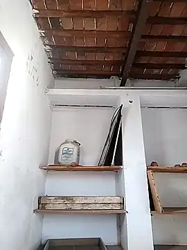 PunjabiSardarBull online show from 21, 4, 2026