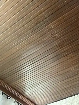 Jasmin Pink online show from 19, 11, 2025