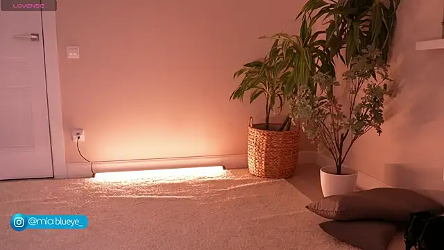 Miablueye online show from 20, 11, 2025