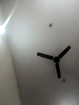 Appypie online show from 9, 1, 2026