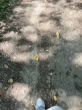 Snapshot of amo660 chatting on 20, 9, 2025 amo660 online show from 20, 9, 2025