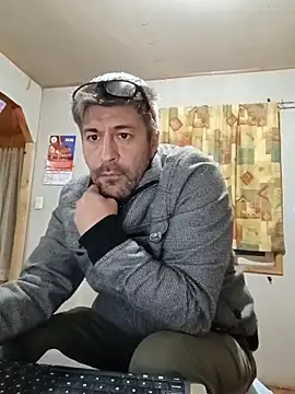 Gato2025perro online show from 21, 4, 2026