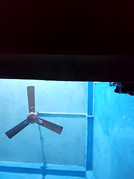 BlackCobraOwner online show from 28, 11, 2025