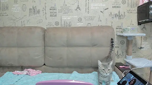 Snapshot of Kelly_Gerzikaa chatting on 29, 11, 2025 Kelly Gerzikaa online show from 29, 11, 2025