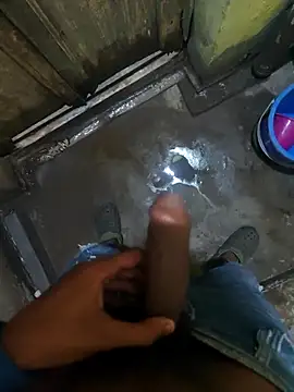 biswasb900 online show from 23, 11, 2025