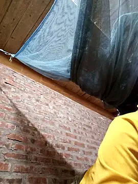 bing-bing88 online show from 27, 2, 2026