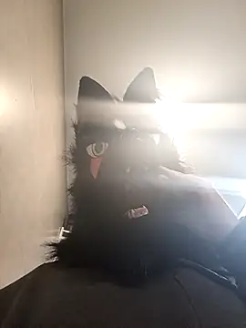 Wolf Okami SP online show from 14, 1, 2026