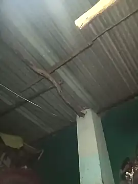 Hot-honi online show from 19, 9, 2025