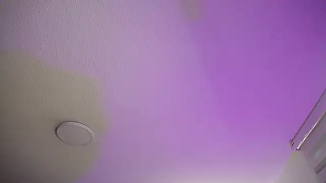  Charlotte Collins  online show from 22, 11, 2025