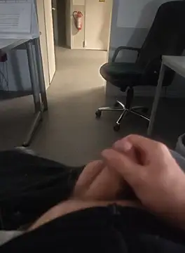 stunning stallion online show from 3, 10, 2025