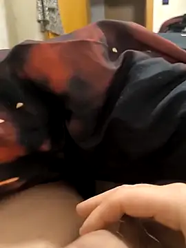 Snapshot of Leahcim84 chatting on 4, 12, 2025 Leahcim84 online show from 4, 12, 2025