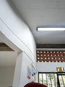 este juan online show from 13, 11, 2025