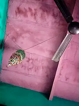 Pooja750 online show from 6, 2, 2026