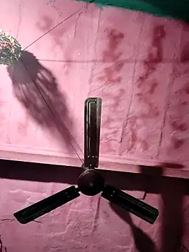 Pooja750 online show from 1, 3, 2026