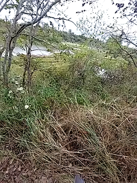 slaveman4you online show from 18, 9, 2025