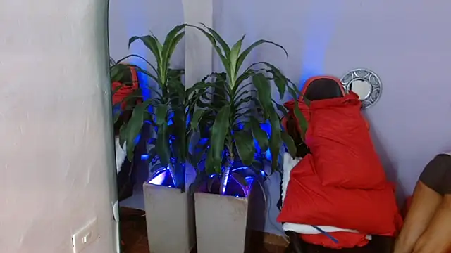 Snapshot of ivy_scorpio chatting on 15, 10, 2025 ivy scorpio online show from 15, 10, 2025