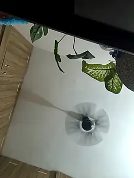 Spoorthi6 Kannada Telugu online show from 8, 3, 2026