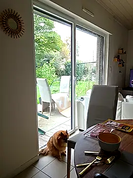 CornetDeGlace online show from 31, 10, 2025