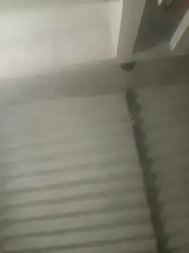 Payal950 online show from 18, 10, 2025