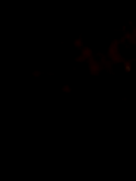 Payal950 online show from 31, 1, 2026