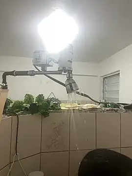 YadielPublic online show from 10, 4, 2026