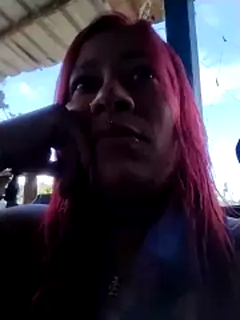 teilor dreamse online show from 5, 1, 2026