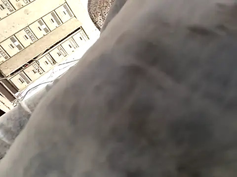 xyz-indian online show from 1, 10, 2025