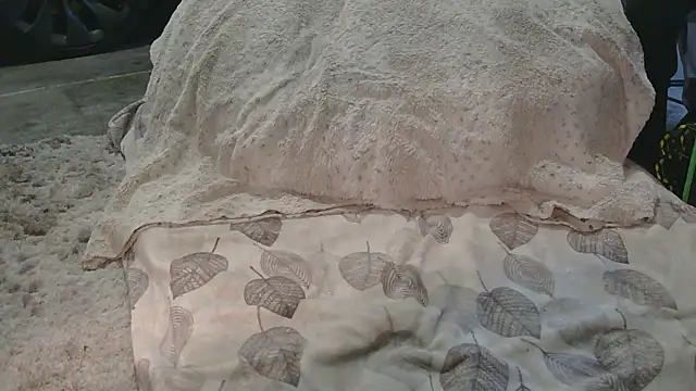 Gmajor online show from 15, 3, 2026