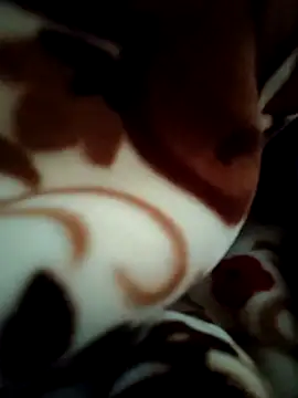 Hot pooja55 online show from 11, 2, 2026