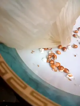 Ebtessamcachonda online show from 15, 10, 2025